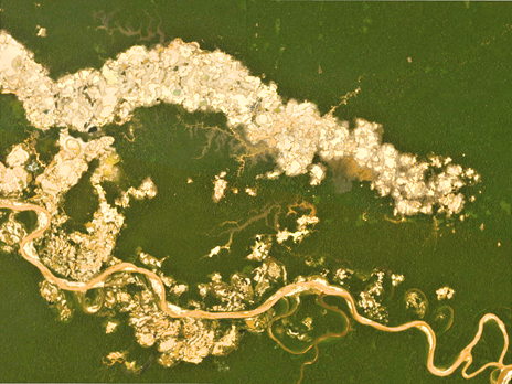 Andean Amazon:  Real-time monitoring to curtail deforestation