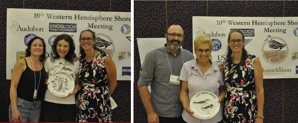 Shorebird conservation and research awards given to ICFC team members!