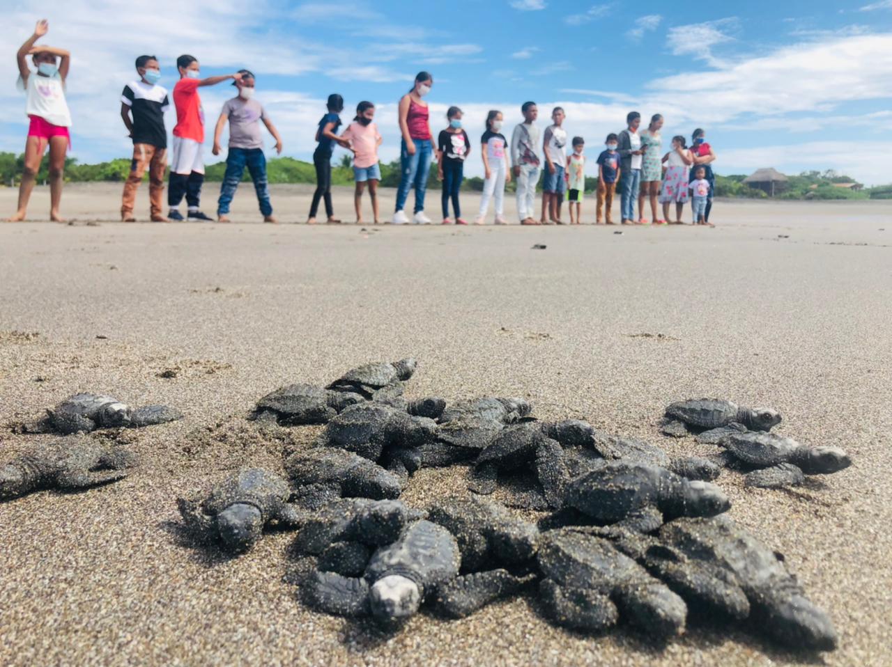 Grassroots efforts aid sea turtles in Nicaragua