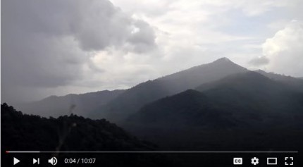 Conservation in Sulawesi: AlTo Overview