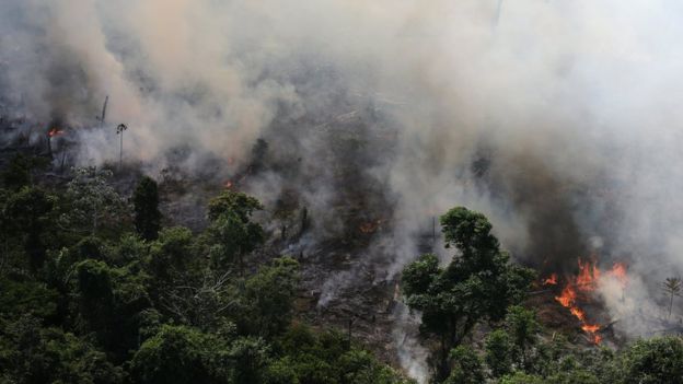 Amazon focus of mounting concern