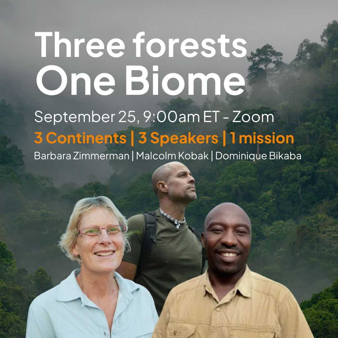 New Webinar: Three forests, one biome