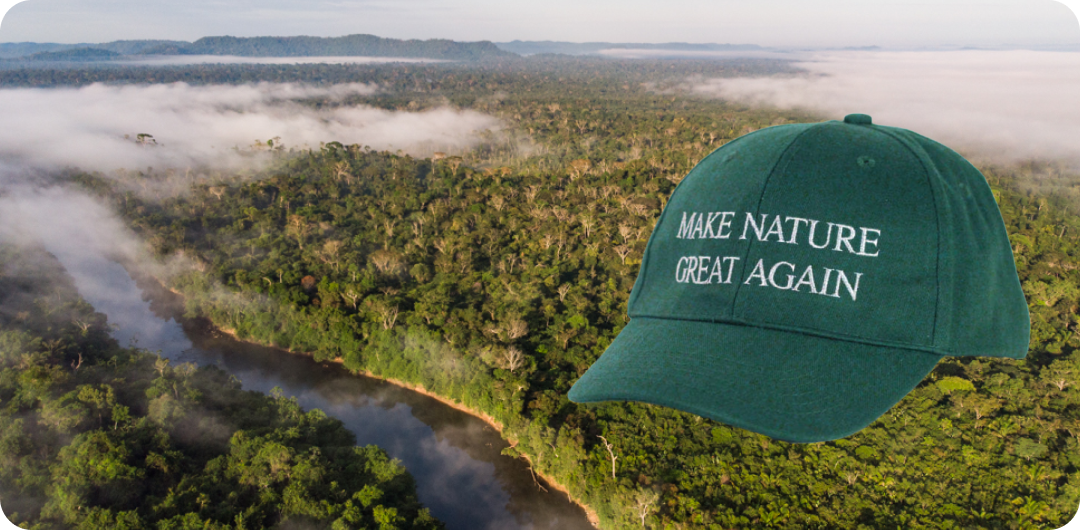 How actions by Trump administration are affecting our work