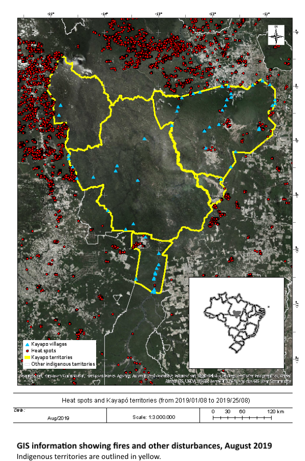 New $5 million fund for Amazon forest conservation