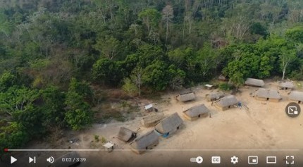 Survival Revolution: The Kayapo Identity