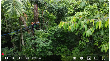 Building arboreal bridges for wildlife in Costa Rica (Osa Conservation)