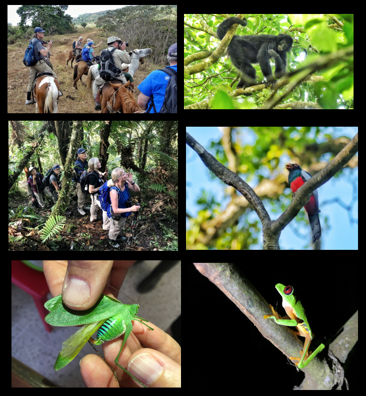 ICFC donors visit Cerro Chucantí, Panama