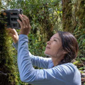 Ruthmery Pillco Huarcaya, MSc