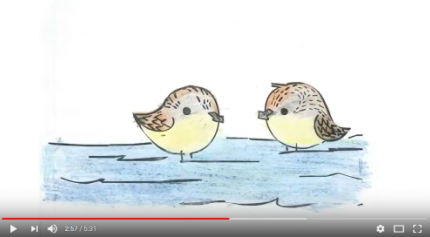Spoon-billed Sandpiper as seen by kids in 8 countries