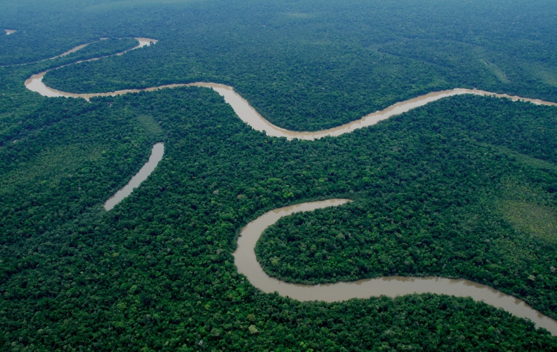 Peru protects over 2 million acres of pristine rainforest by creating Yaguas National Park