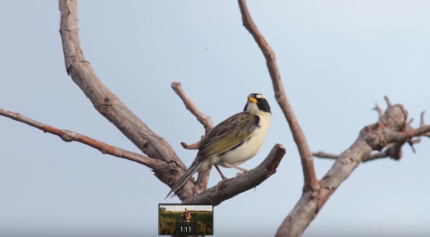 Barba Azul Nature Reserve Introduction