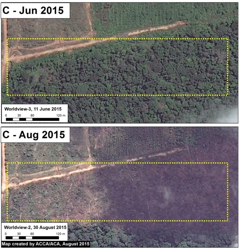 Linking near real-time deforestation monitoring with policy action in ...