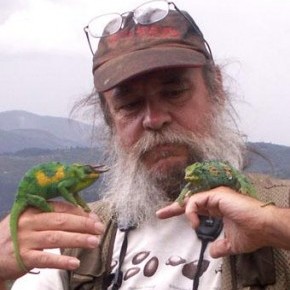 Carel Pieter Brest van Kempen