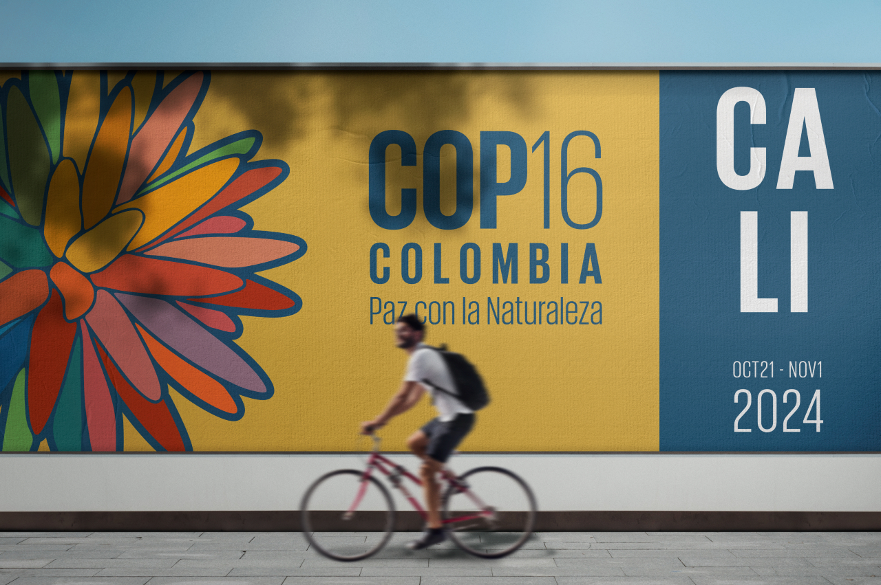 COP16 Update