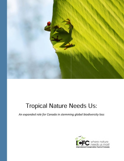 ICFC releases report: Canada must ramp up international conservation aid