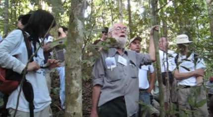 Diversity of tropical tree species
