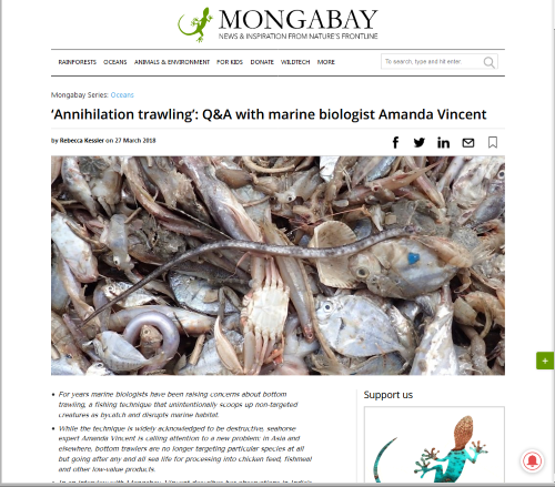 “Annihilation fishing”: Mongabay interviews Amanda Vincent