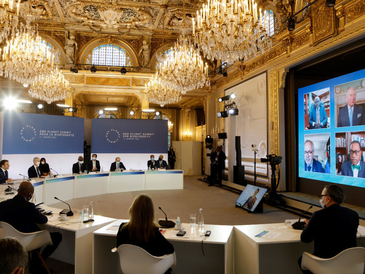 One Planet Summit signals increased attention to biodiversity loss