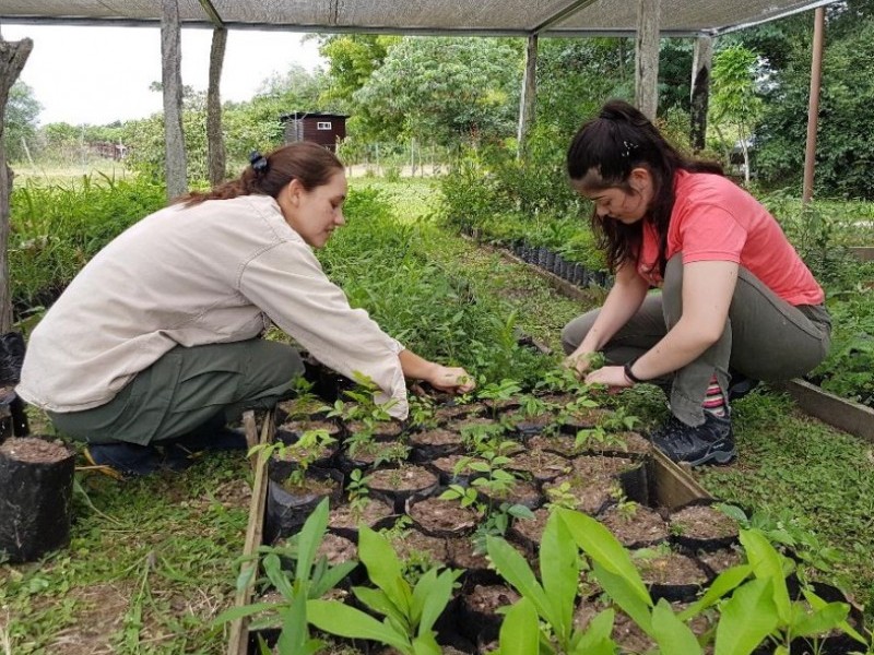 Restoring habitats for threatened species at the Rincón Santa Maria reserve