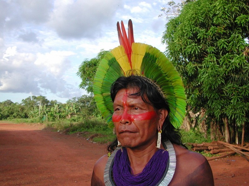 Kayapo Indigenous territories in the southeastern Amazon