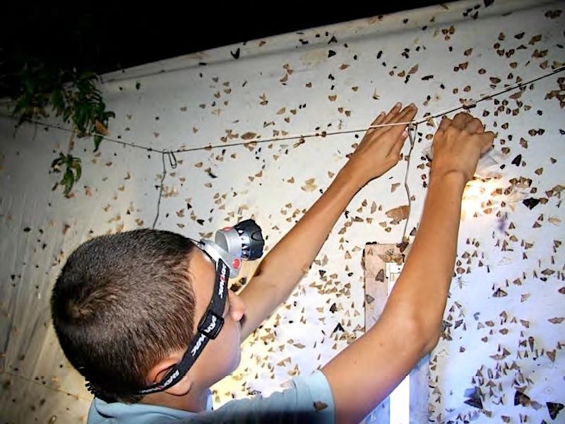 Parataxonomists & community bioliteracy at Area de Conservación Guanacaste