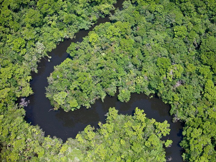 Protecting lowland & inundated forests at Laguna Grande Reserve