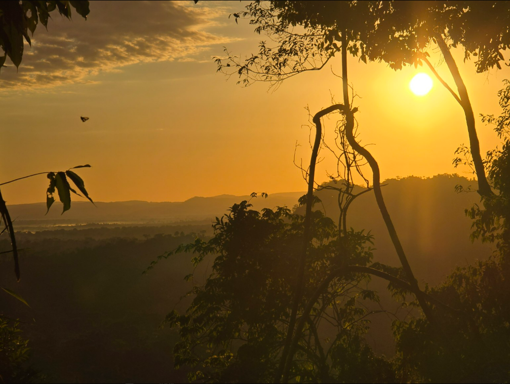 Press Release: Canada’s Leading Global Conservation NGO Relaunches as Biome Conservation