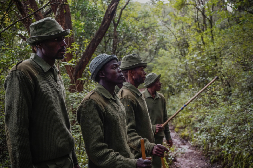 Webinar: Rangers on the frontlines hosted by Biome Conservation – April 8