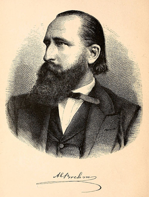 Albert Edmund Brehm (1829-1884)